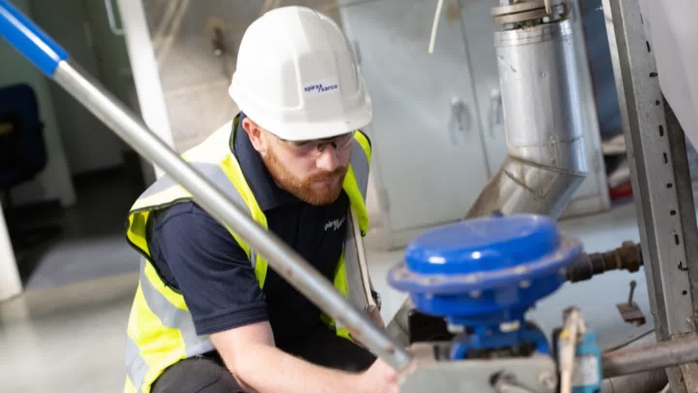 Steam trap surveys and management